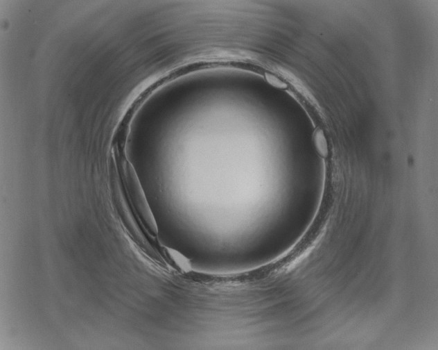 X0000070180837200606021030