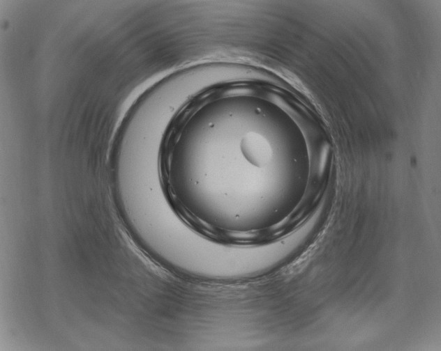 X0000070180838200606021030