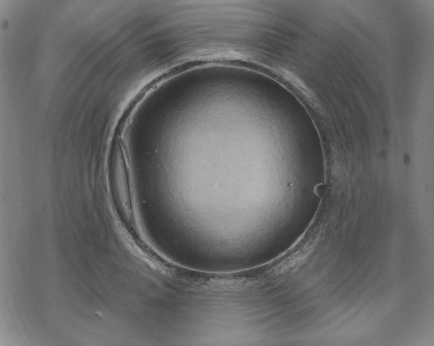 X0000070180840200606021030