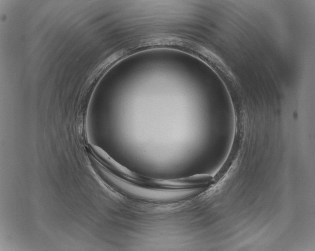 X0000070180841200606021030