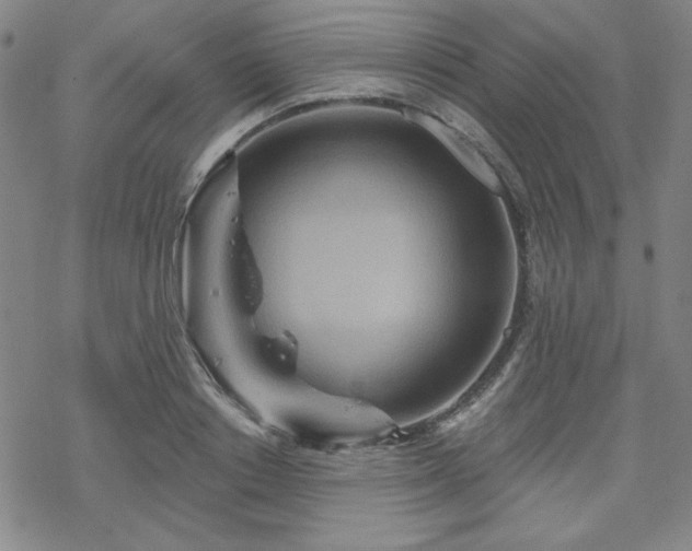 X0000070180842200606021030