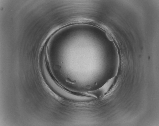 X0000070180843200606021030