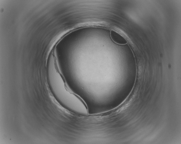 X0000070180844200606021030