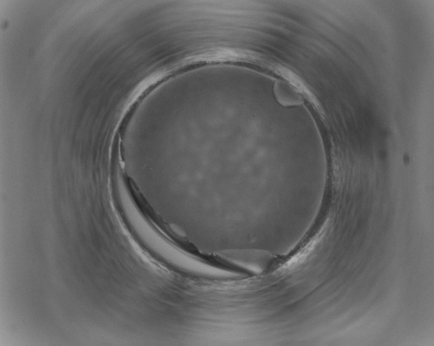 X0000070180845200606021030