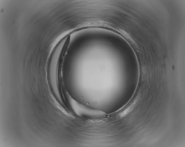 X0000070180846200606021030