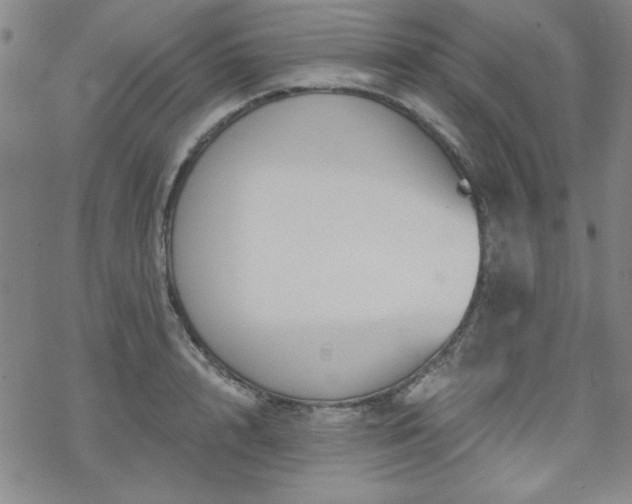 X0000070180848200606021030