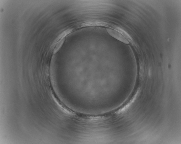 X0000070180849200606021030