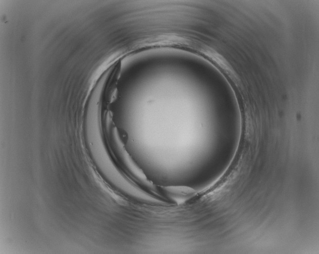 X0000070180850200606021030