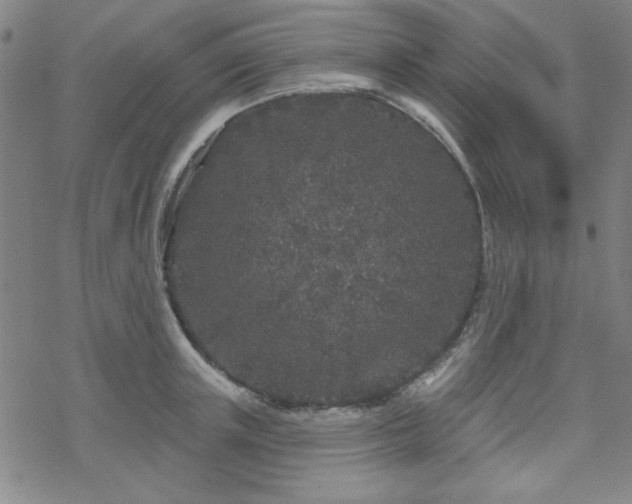 X0000070180851200606021030