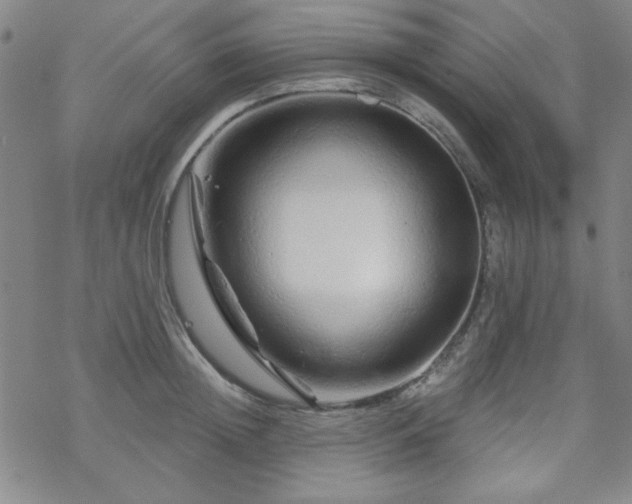 X0000070180852200606021030