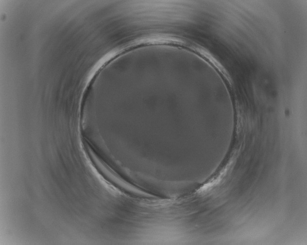 X0000070180853200606021030