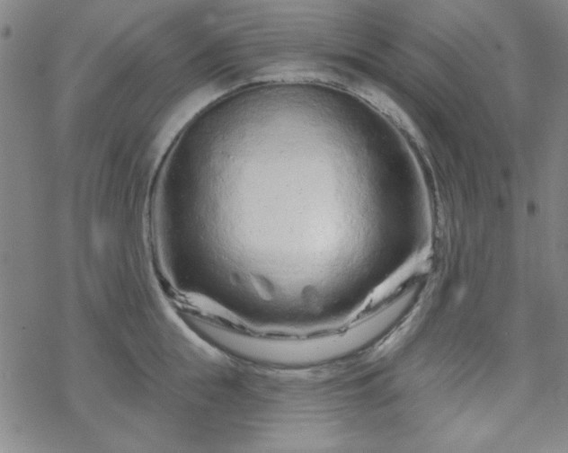 X0000070180855200606021030