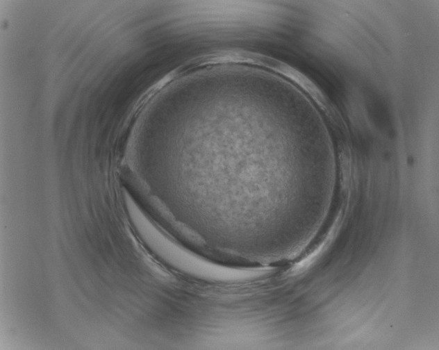 X0000070180857200606021031