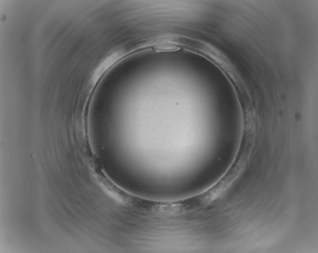 X0000070180858200606021031