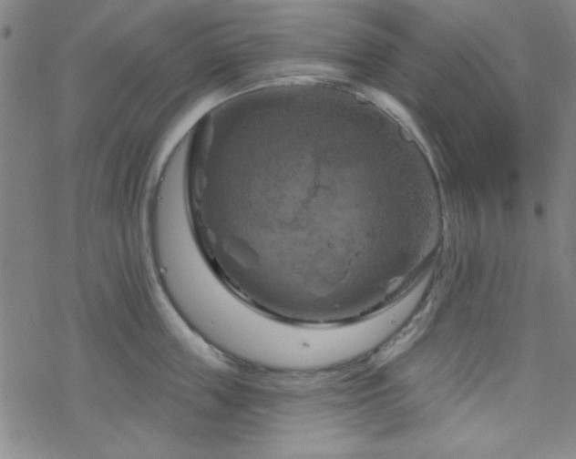 X0000070180859200606021031