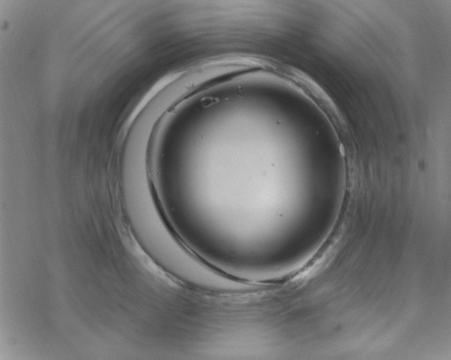 X0000070180860200606021031