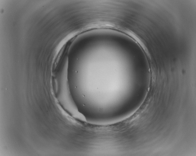 X0000070180861200606021031