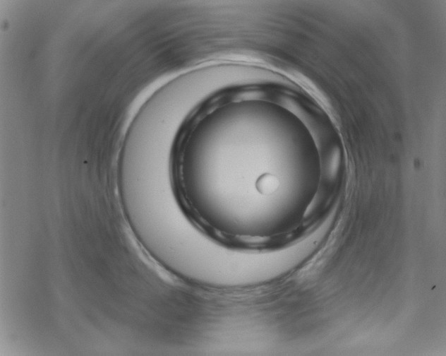 X0000070180862200606021031