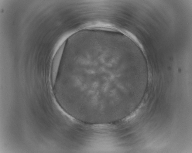 X0000070180863200606021031