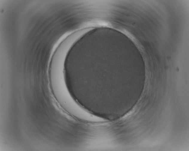 X0000070180864200606021031