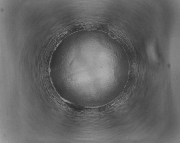 X0000070180865200606021030