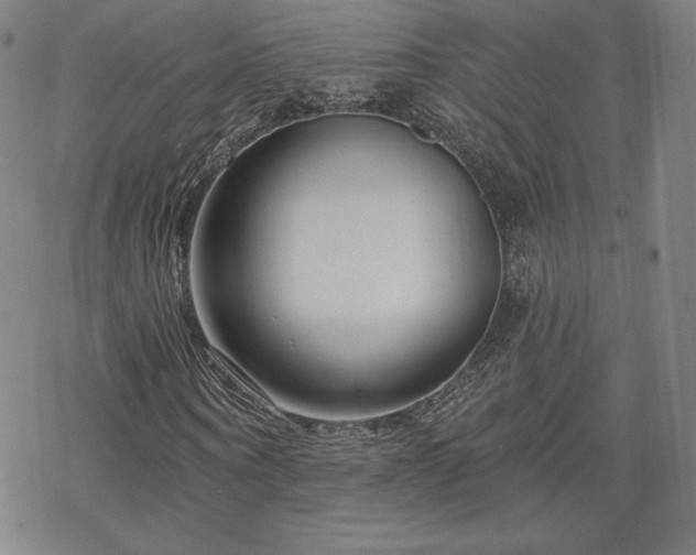 X0000070180866200606021030