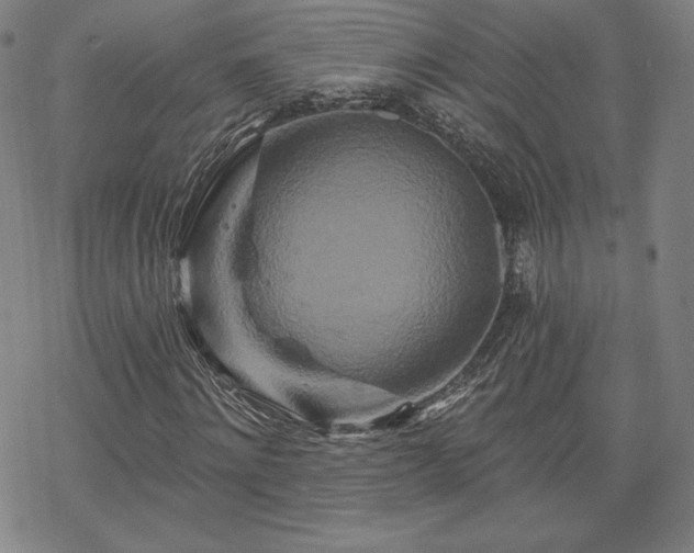 X0000070180868200606021030