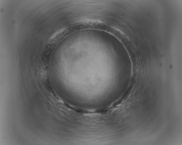 X0000070180869200606021030