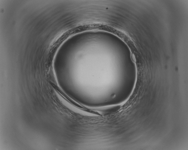 X0000070180871200606021030