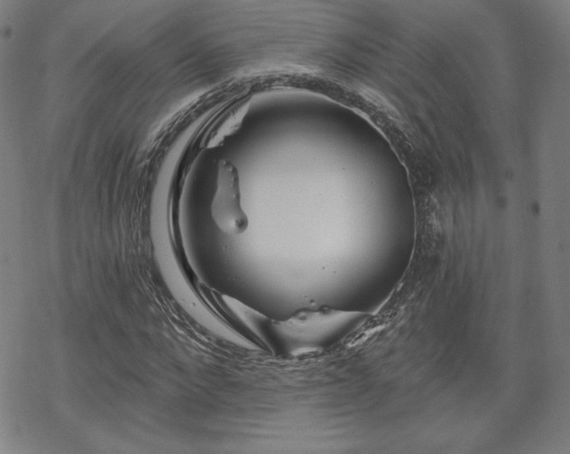 X0000070180872200606021030