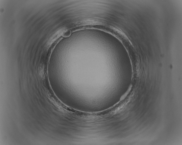 X0000070180873200606021030