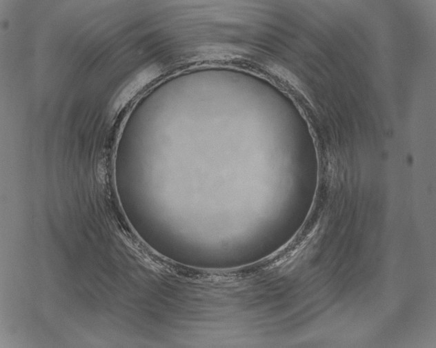 X0000070180874200606021030