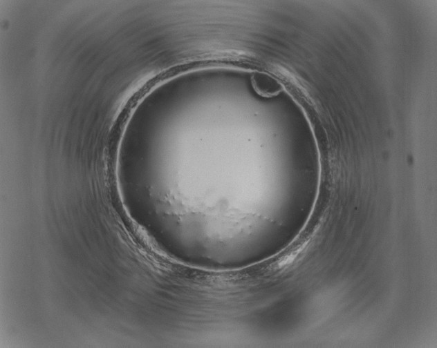 X0000070180875200606021030