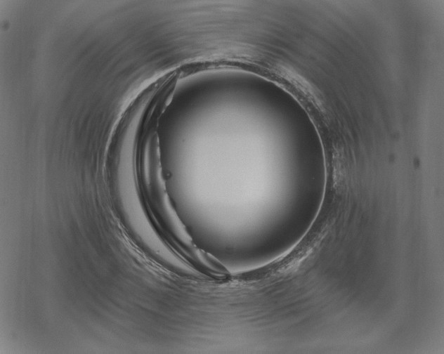 X0000070180876200606021030