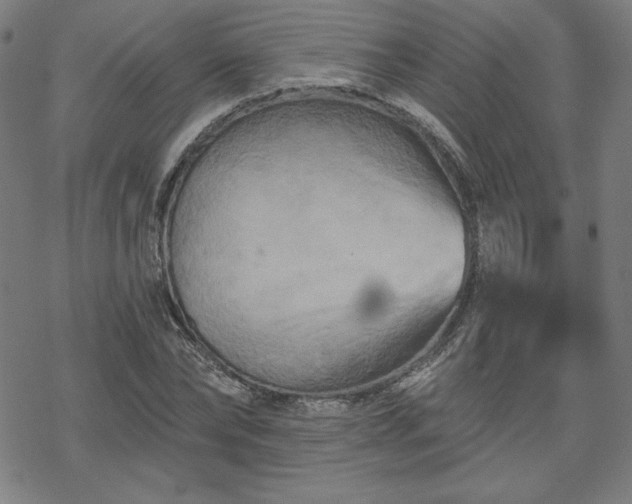 X0000070180878200606021030