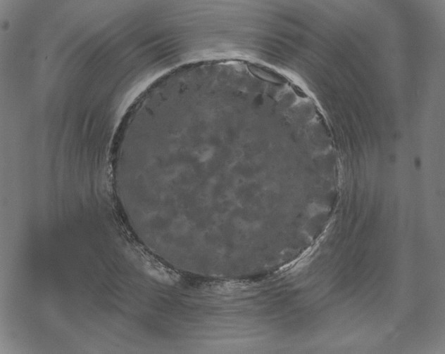 X0000070180879200606021030