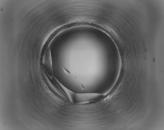 X0000070180880200606021030