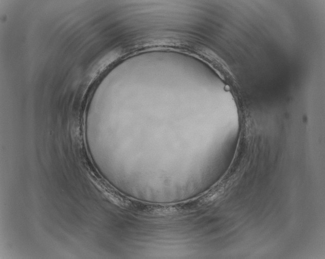 X0000070180882200606021030