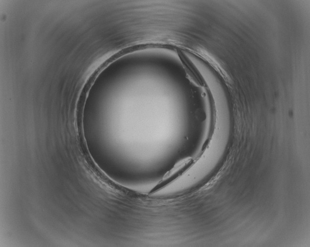 X0000070180884200606021030