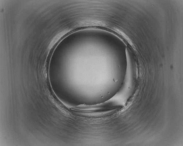 X0000070180885200606021030