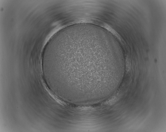 X0000070180886200606021030