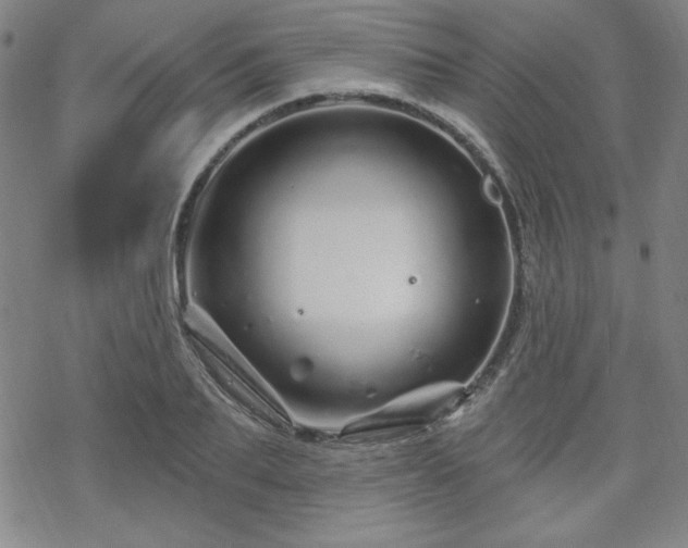 X0000070180887200606021029