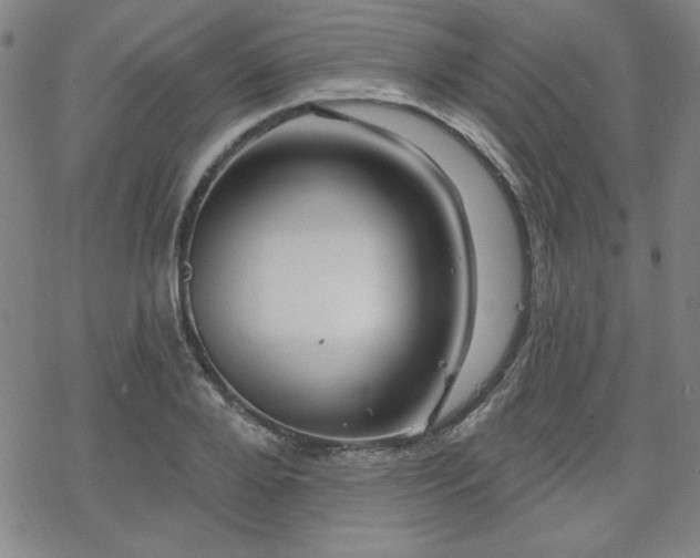 X0000070180888200606021029