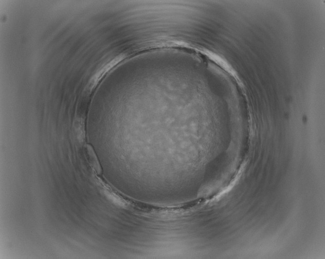 X0000070180889200606021029