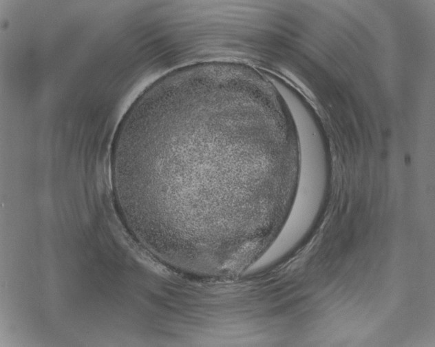 X0000070180891200606021029