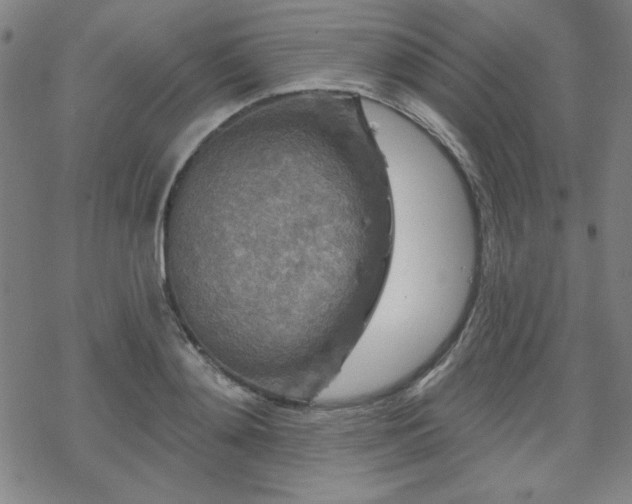 X0000070180892200606021029