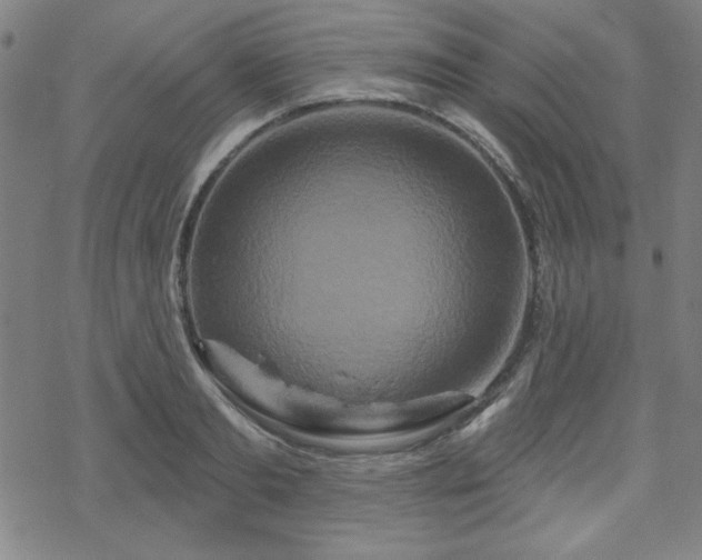 X0000070180893200606021029