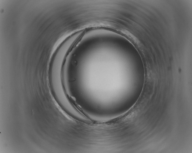 X0000070180894200606021029