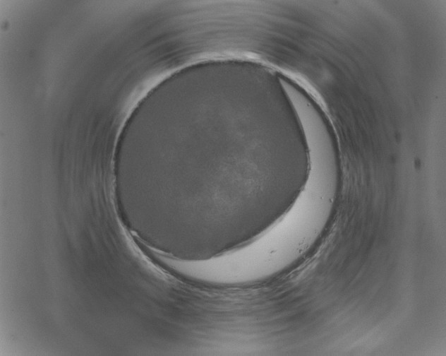 X0000070180895200606021029