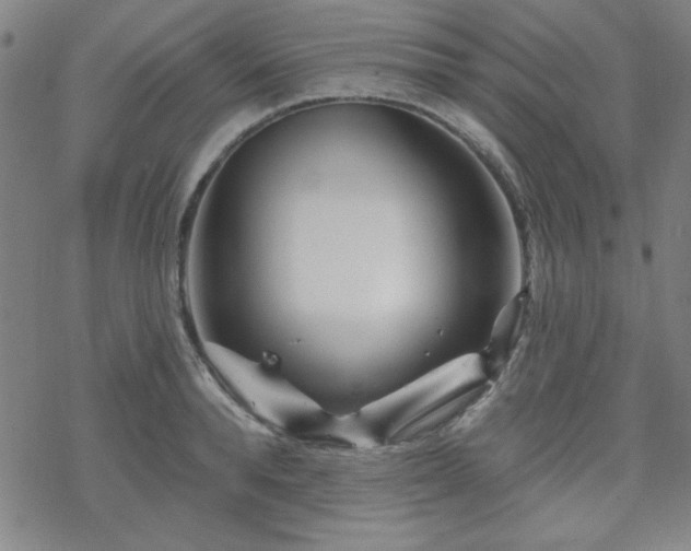 X0000070180896200606021029